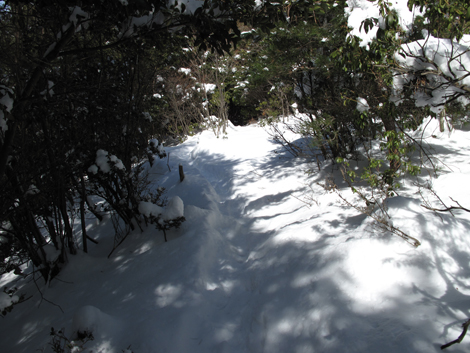 20140211hike (102)